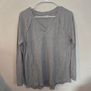 Wildfox Light Gray Long Sleeve V-Neck Top